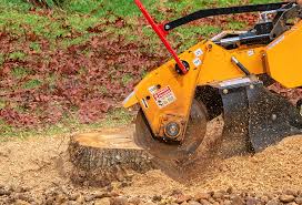 Best Soil Testing and Treatment  in Port Arthur, TX