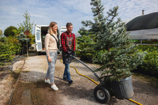 Best Organic Lawn Care Solutions  in Port Arthur, TX