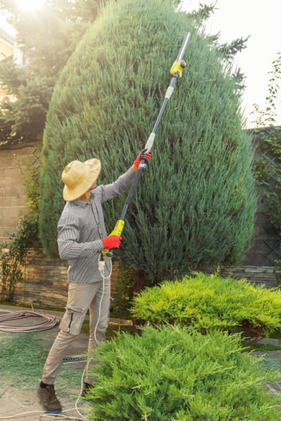 Best Tree Mulching  in Port Arthur, TX
